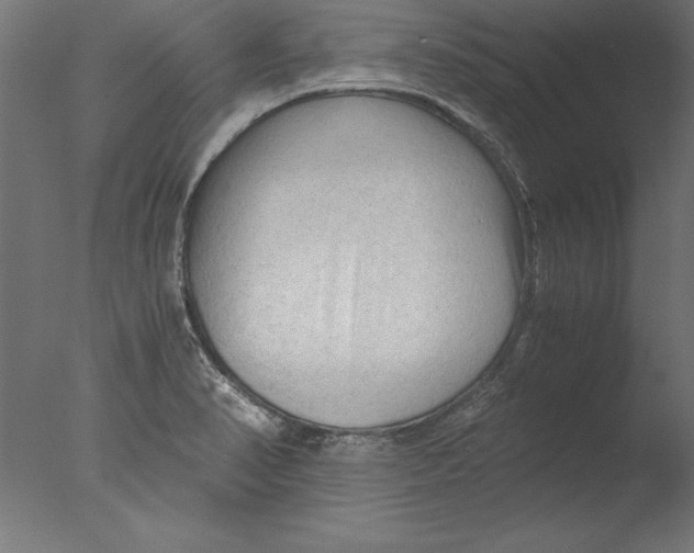 X0000076311374200610201601