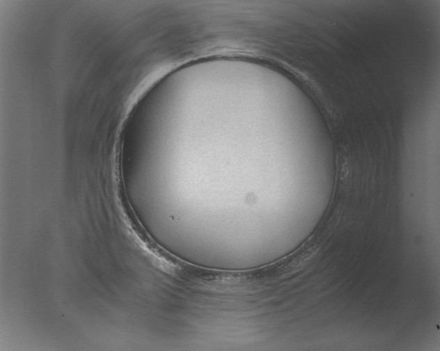 X0000076311375200610201601