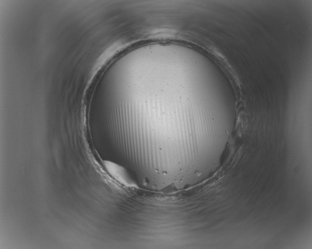 X0000076311376200610201601