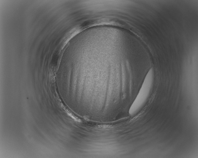 X0000076311377200610201601