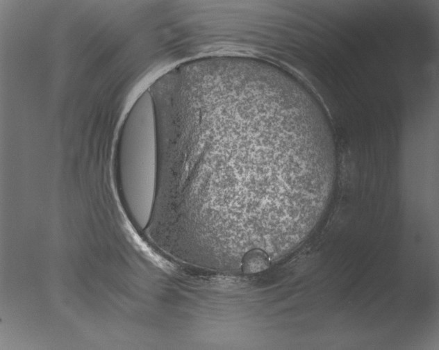 X0000076311379200610201601