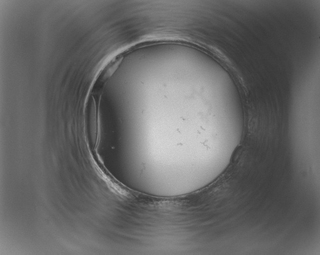 X0000076311380200610201601