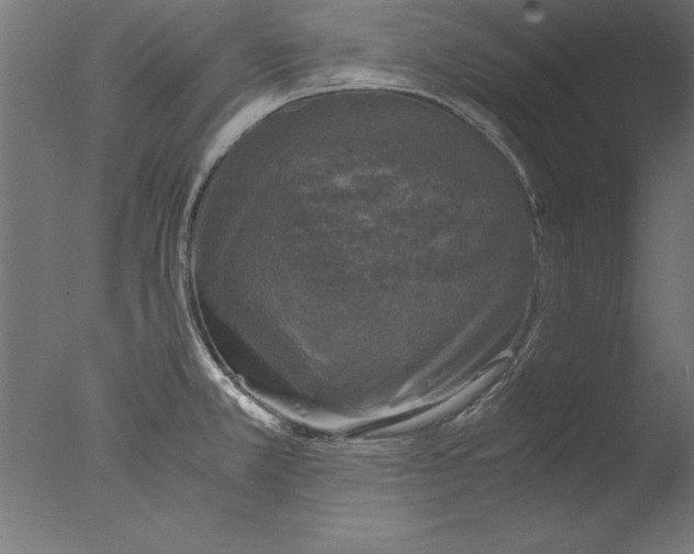 X0000076311381200610201601