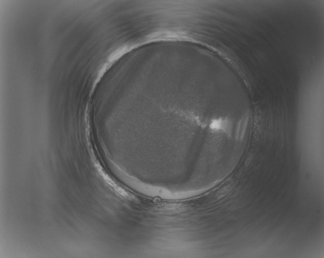 X0000076311382200610201601