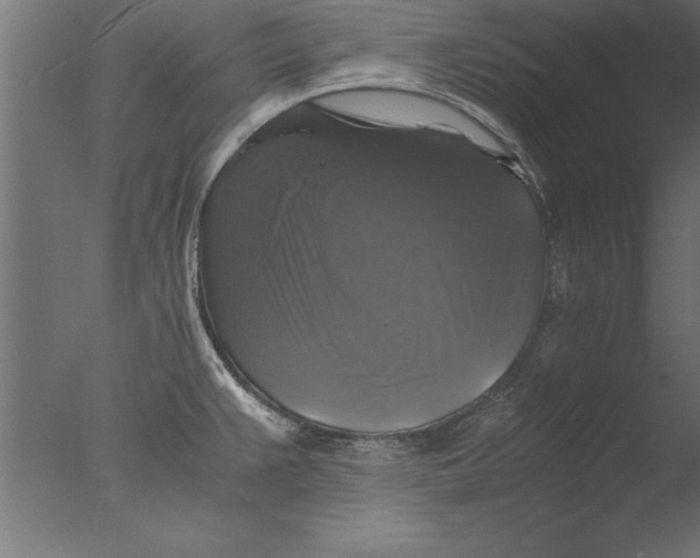 X0000076311383200610201601