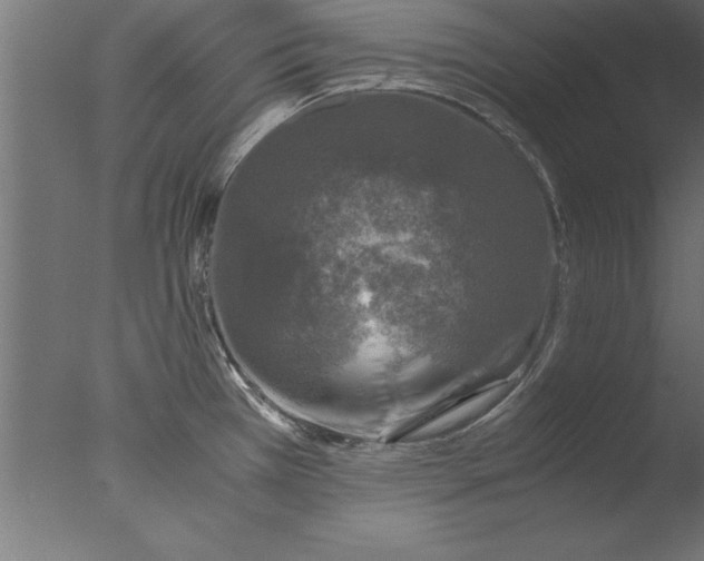 X0000076311385200610201601