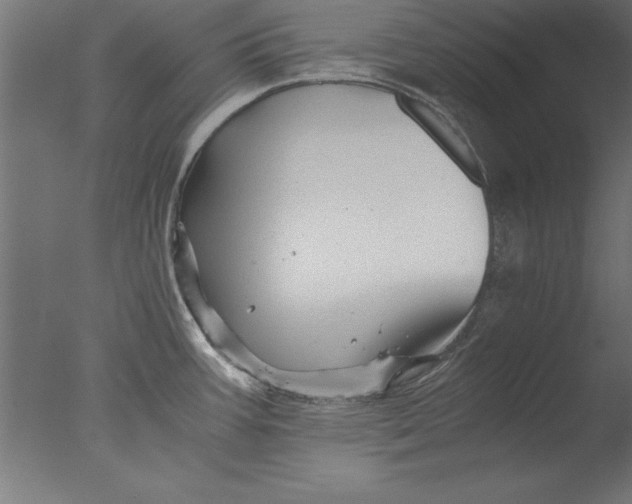 X0000076311387200610201601