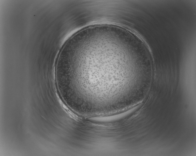 X0000076311388200610201601