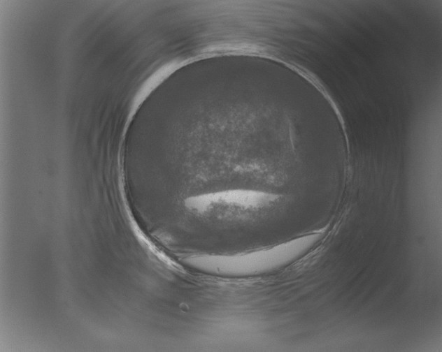 X0000076311389200610201601