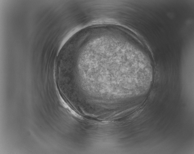 X0000076311390200610201601