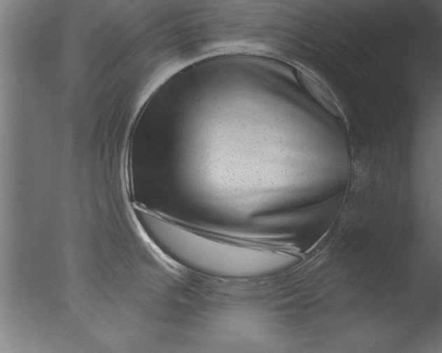 X0000076311391200610201601