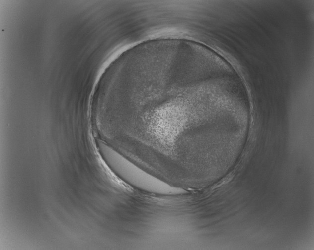 X0000076311392200610201601