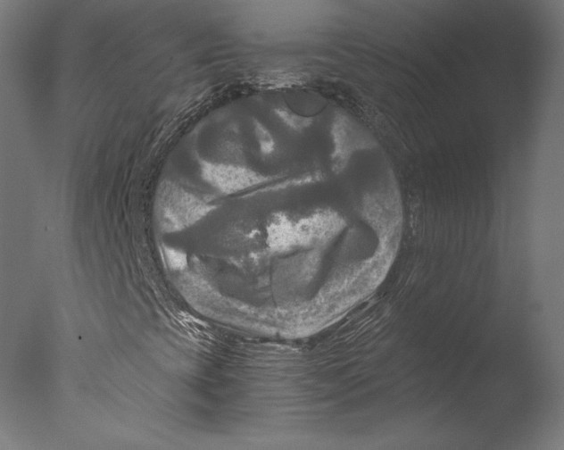 X0000076311393200610201600