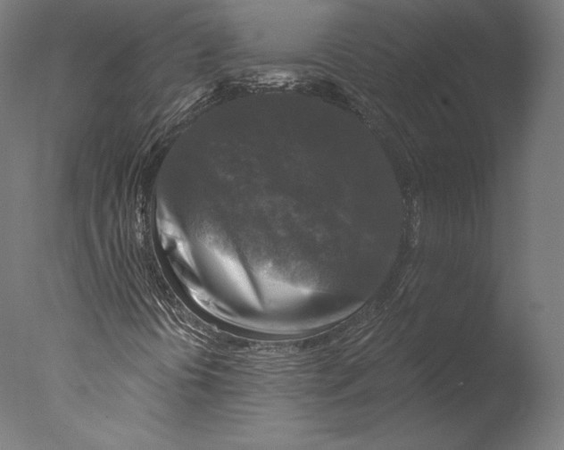 X0000076311394200610201600