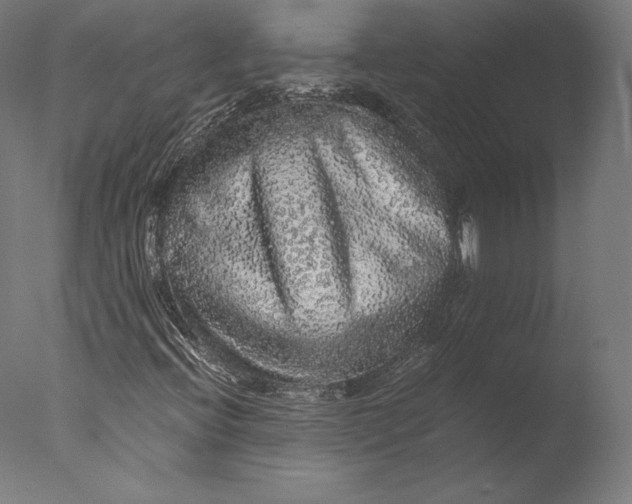 X0000076311396200610201600