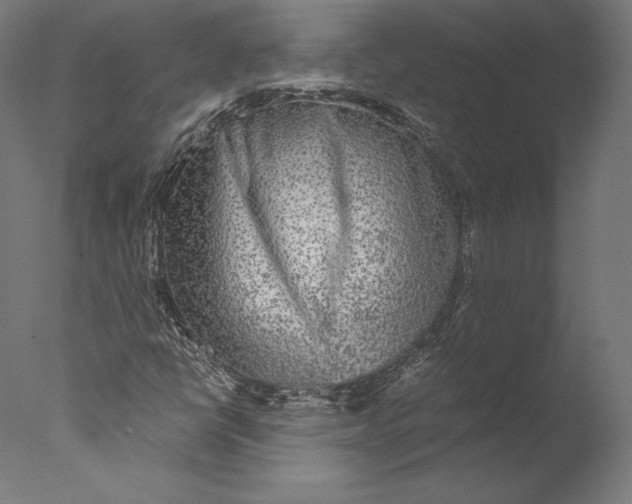 X0000076311398200610201600