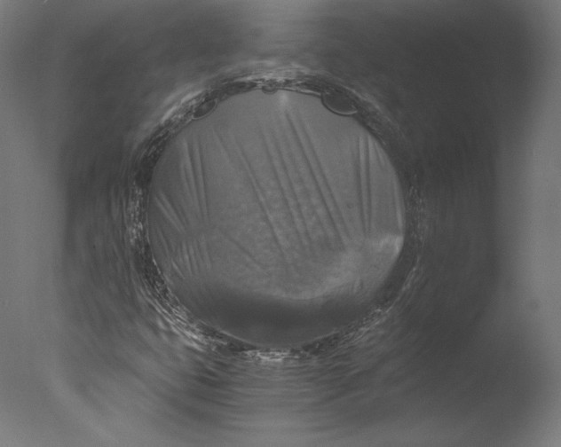 X0000076311399200610201600