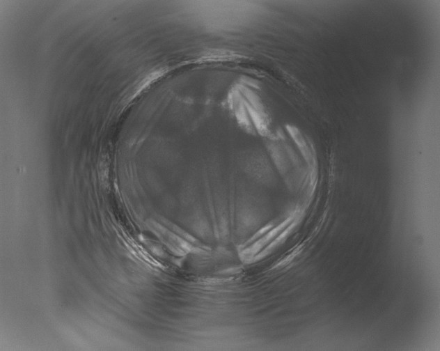 X0000076311401200610201600