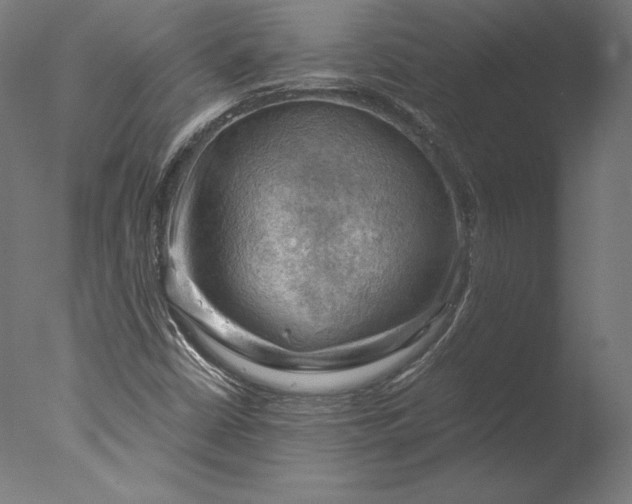 X0000076311402200610201600