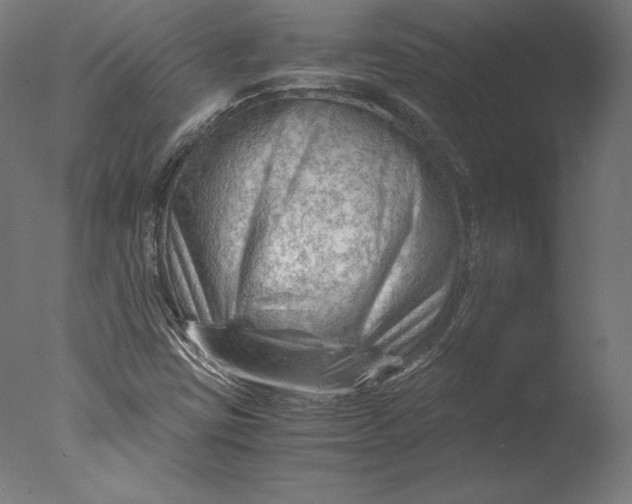 X0000076311403200610201600