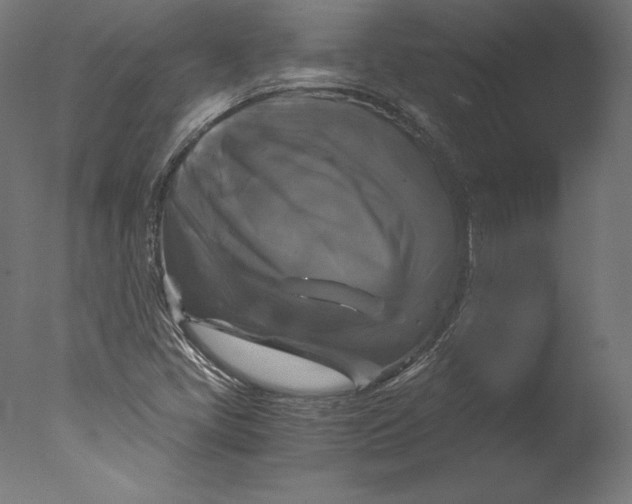 X0000076311405200610201600