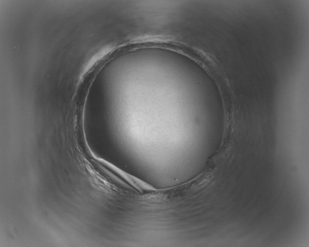 X0000076311406200610201600