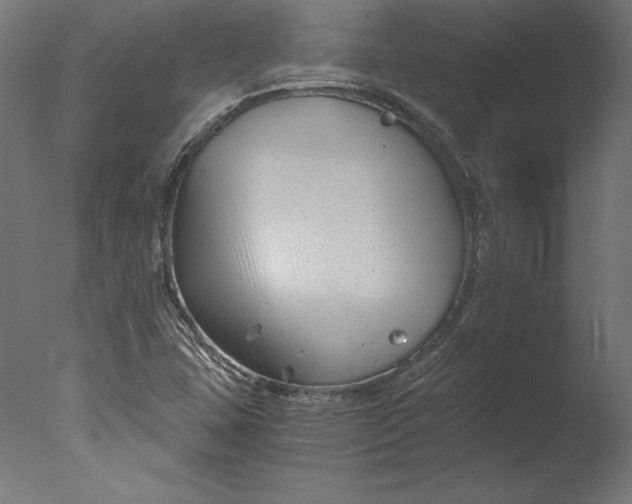 X0000076311407200610201600