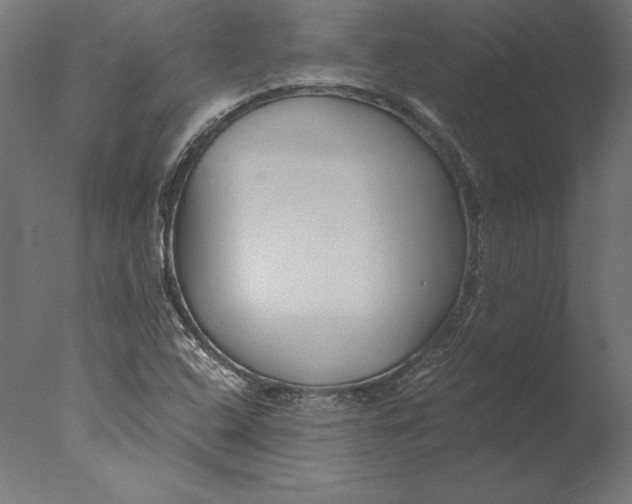 X0000076311408200610201600