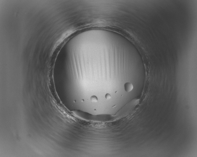 X0000076311410200610201600