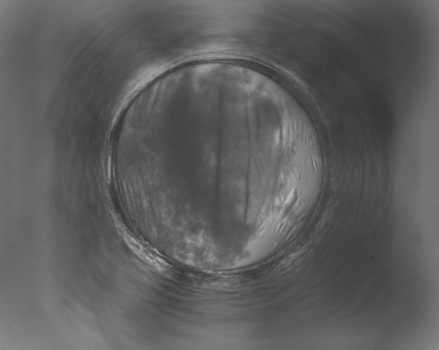 X0000076311413200610201600