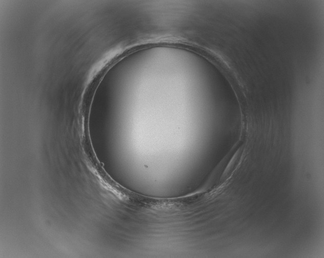 X0000076311414200610201601