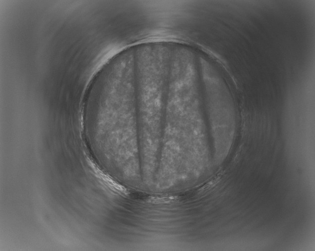 X0000076311415200610201601