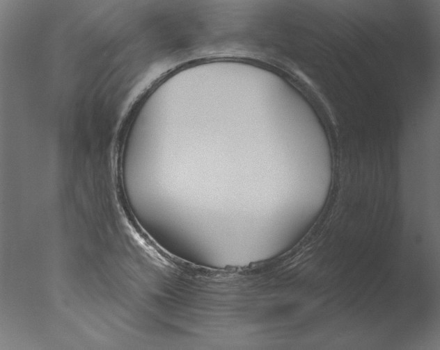 X0000076311416200610201601