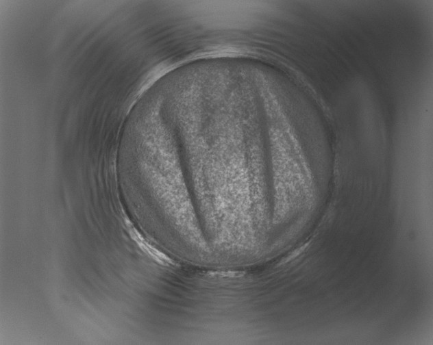 X0000076311417200610201601