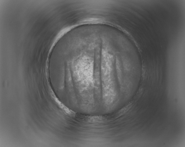 X0000076311421200610201601