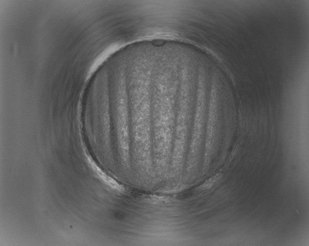 X0000076311422200610201601