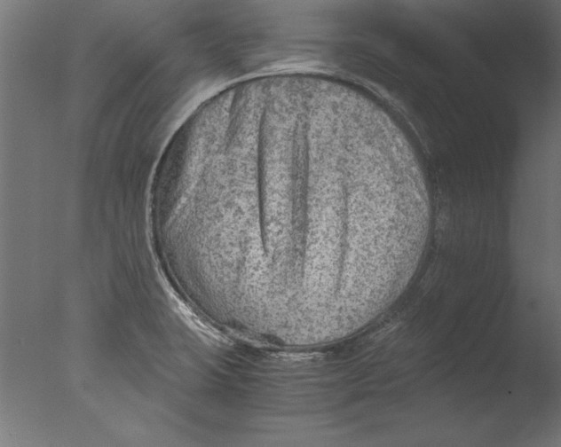 X0000076311423200610201601