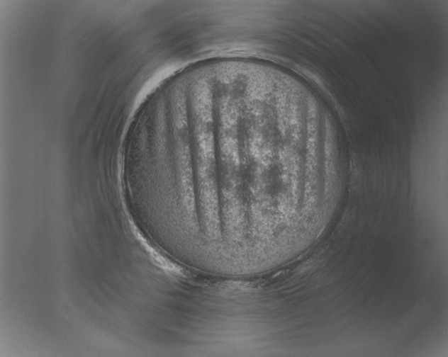 X0000076311424200610201601