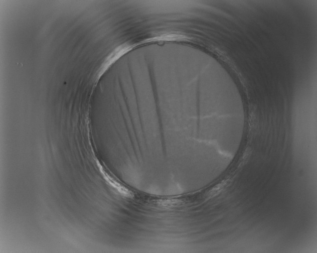 X0000076311425200610201601