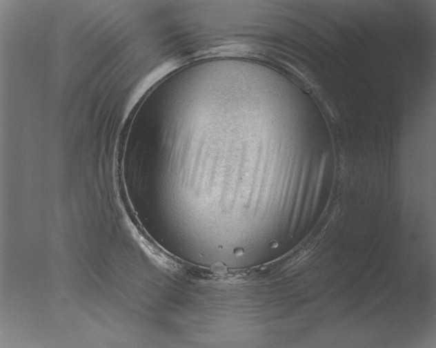 X0000076311426200610201601