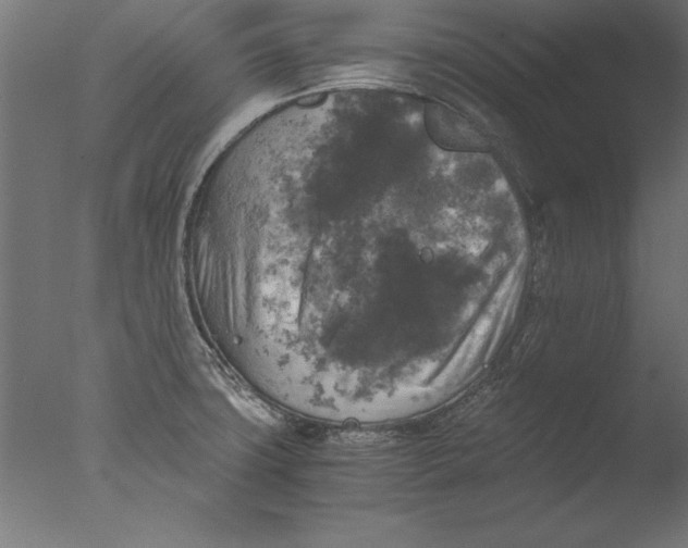 X0000076311427200610201601