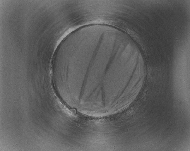 X0000076311428200610201601