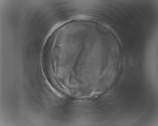 X0000076311429200610201601