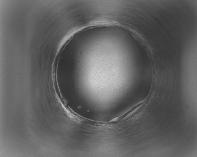 X0000076311430200610201601