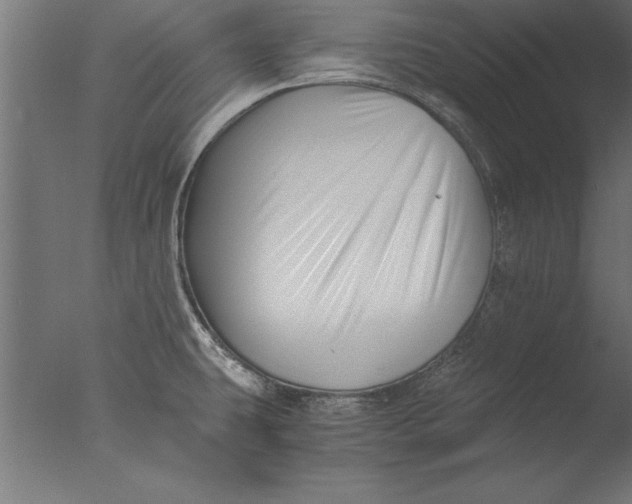 X0000076311431200610201601