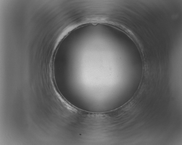 X0000076311432200610201601