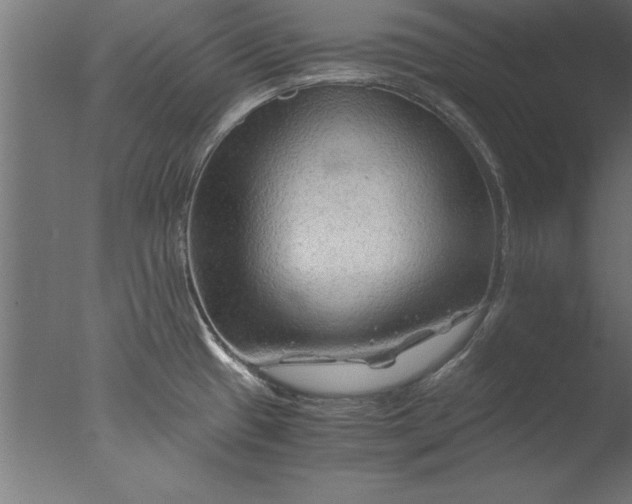 X0000076311433200610201601