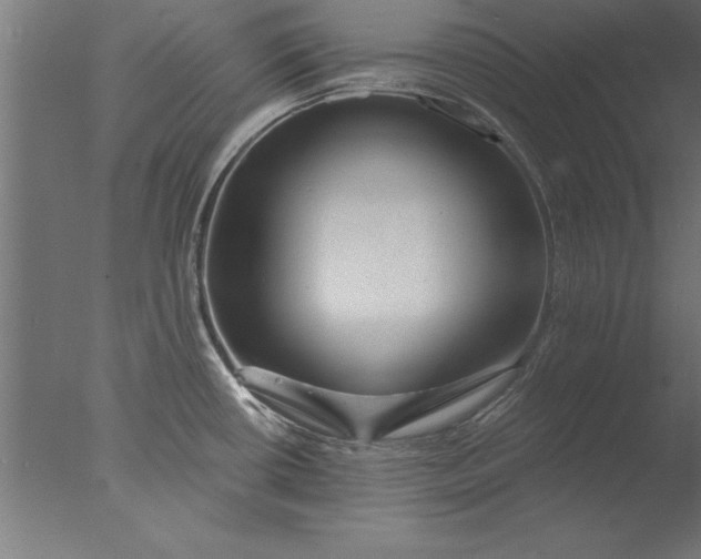 X0000076311434200610201601