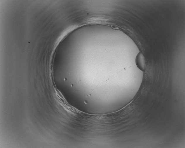 X0000076311435200610201601