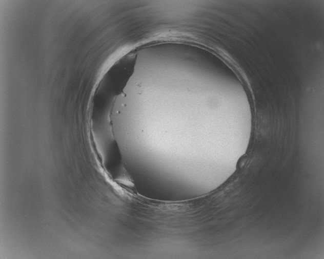 X0000076311437200610201601